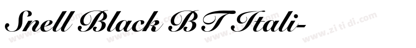 Snell Black BT Itali字体转换